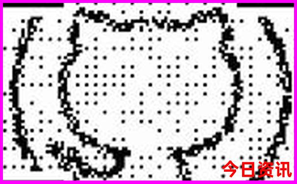 暑假适合去的景点